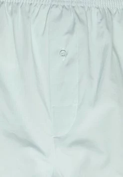 Pier One Hombre 5 PACK - Boxer - Blue /light Blue/green 15 Pier One Hombre 5 PACK - Boxer - Blue /light Blue/green -Pier One Tienda ff53bc0c1b224ea9809c5a4ed41eb7b0